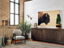 Luminara American Bison by Getty Images - 60X40