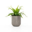 Modern Ivan Round Planter